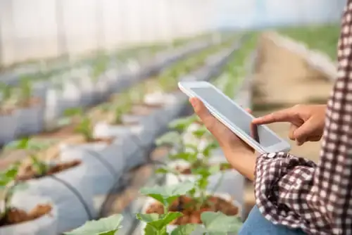 agriculture